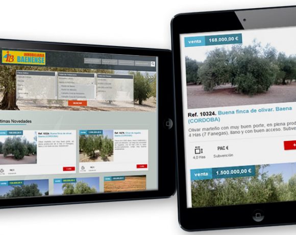 Web de Olivares en venta